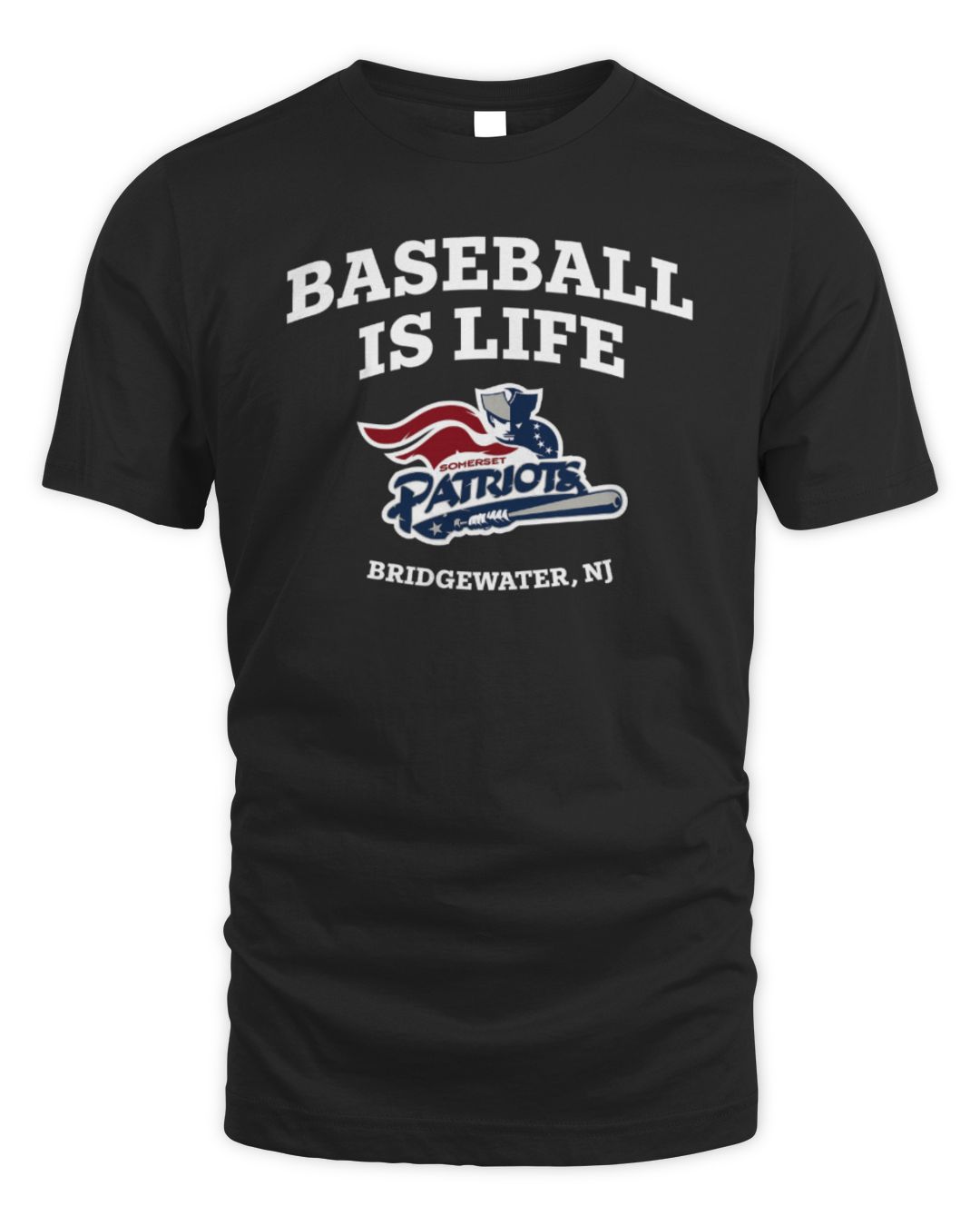 Milb Somerset Patriots Baseball Is Life Vintage Tee