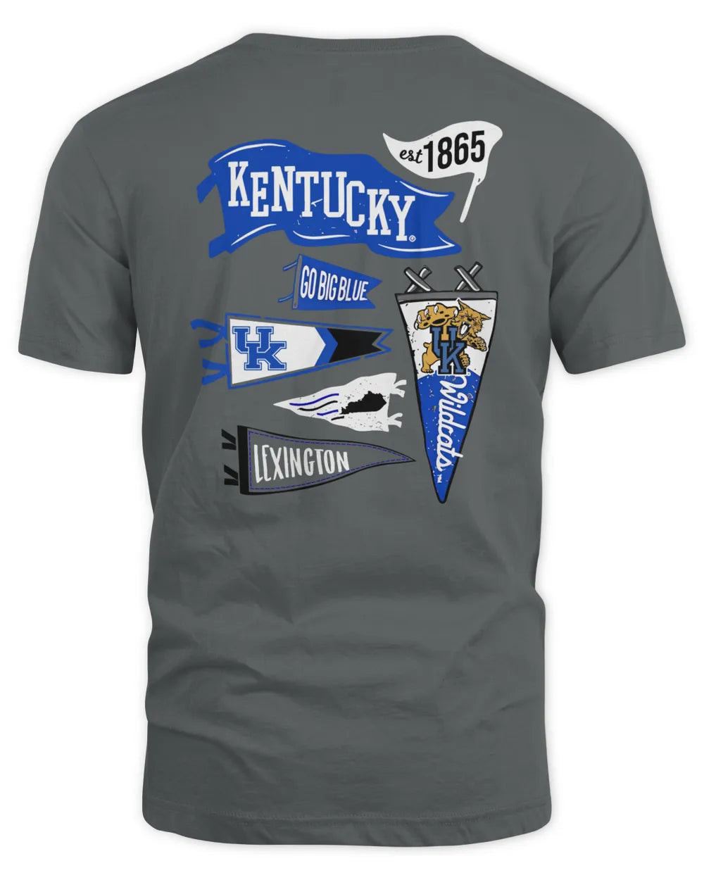 Kentucky Branded Uk Campus Pennants Hoodie Sweatshirt