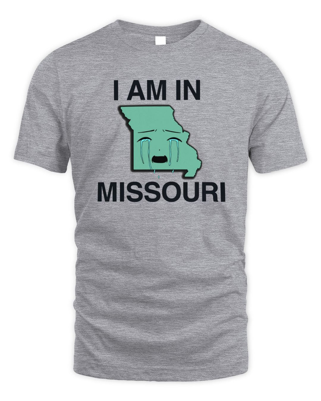 I Am In Missouri Grey Hoodie