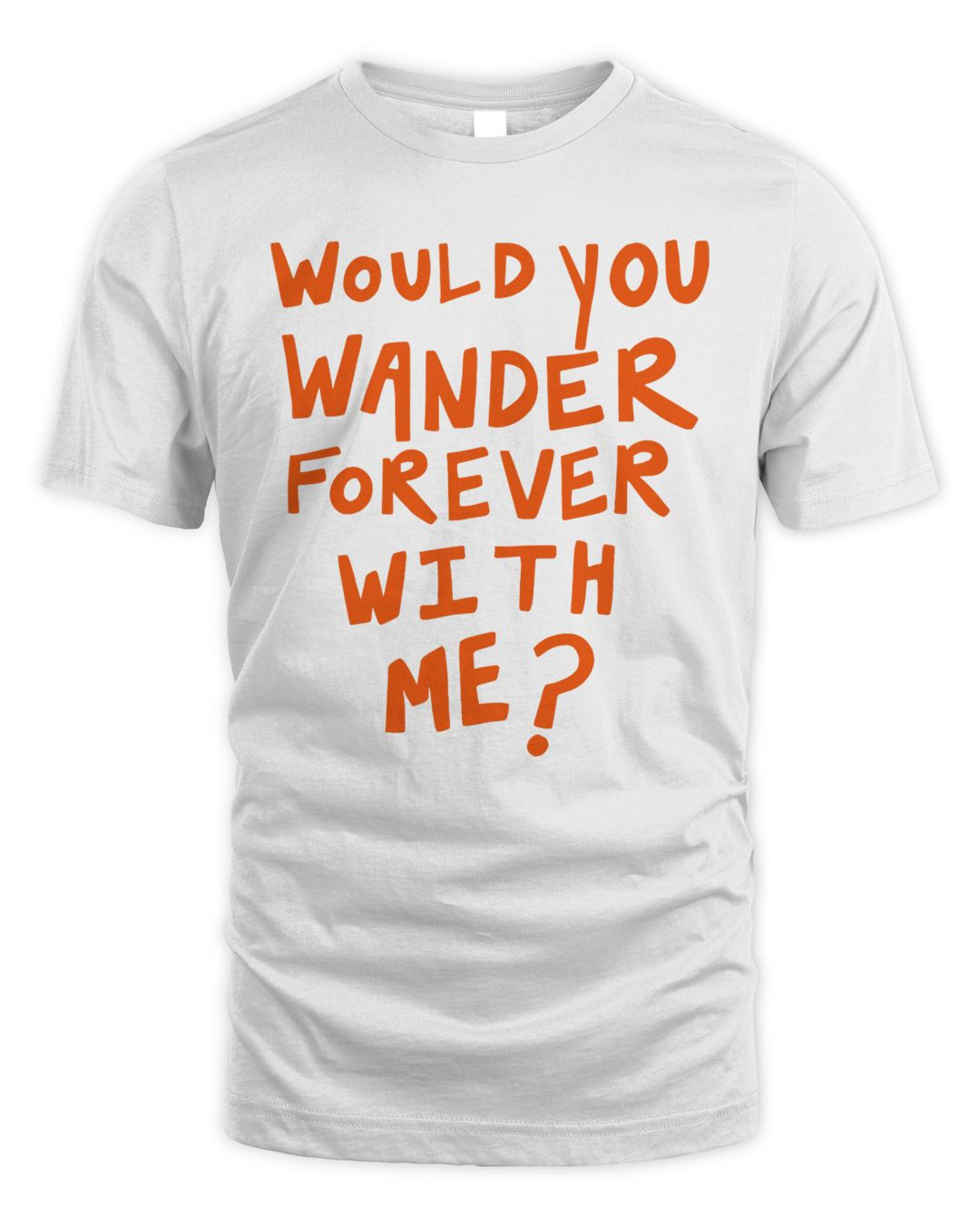 Mt Joy Merch Bear Shirt