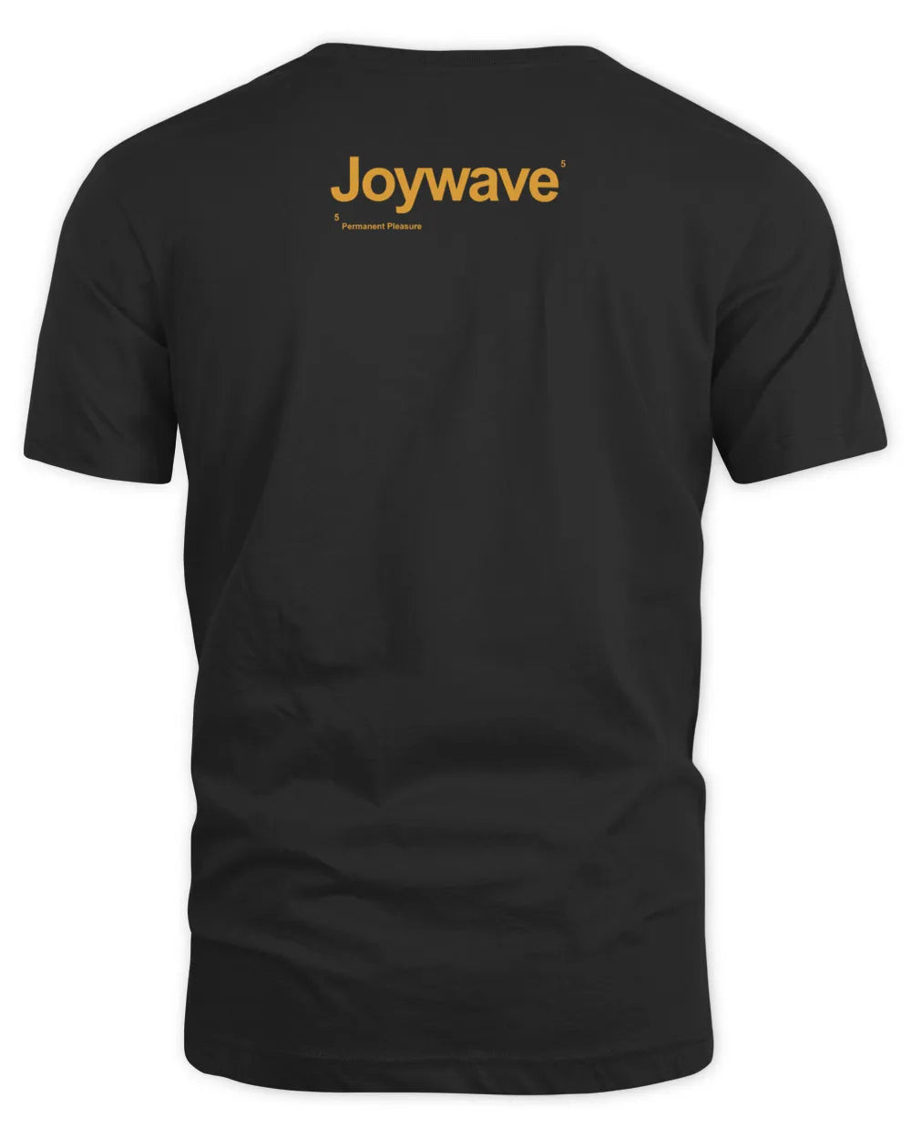 Joywave Merch Permanent Pleasure Tee