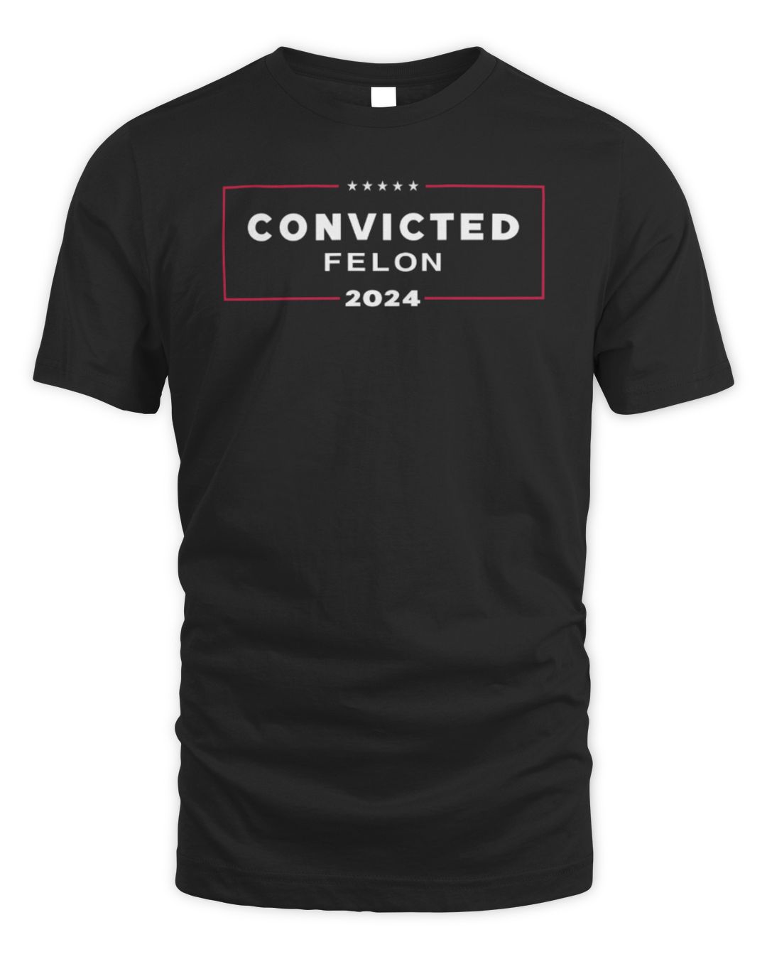 Hodgetwins Convicted Felon 2024 Hoodie