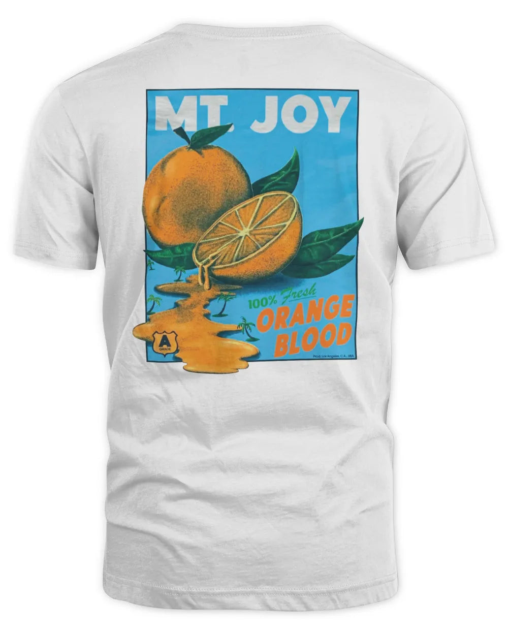 Mt Joy Merch Orange Blood 2023 Tshirt