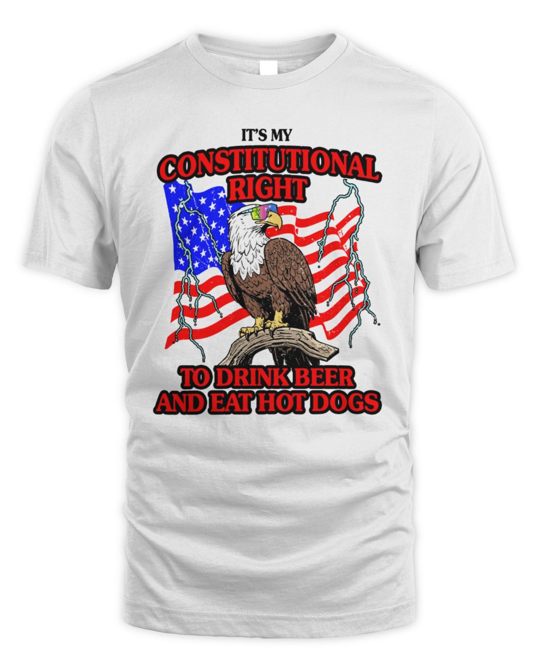 It's My Constitutional Right Todrink Beer And Eat Hot Dogs 2024 Hoodie Sweatshirt