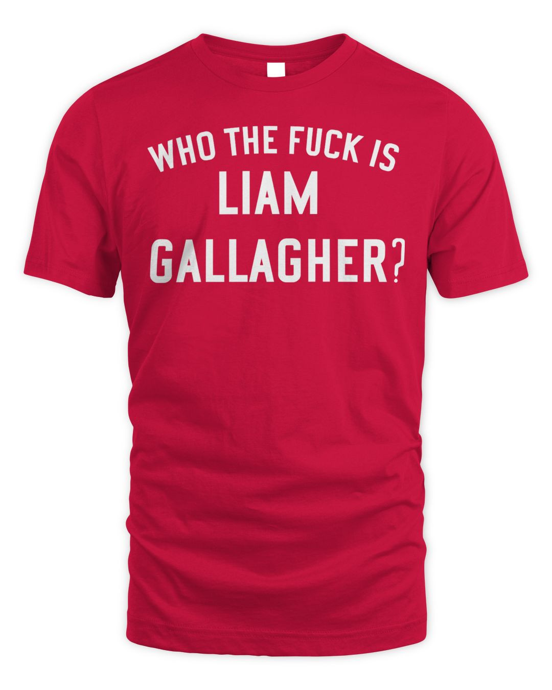 Liam Gallagher Merch Who The F Shirt