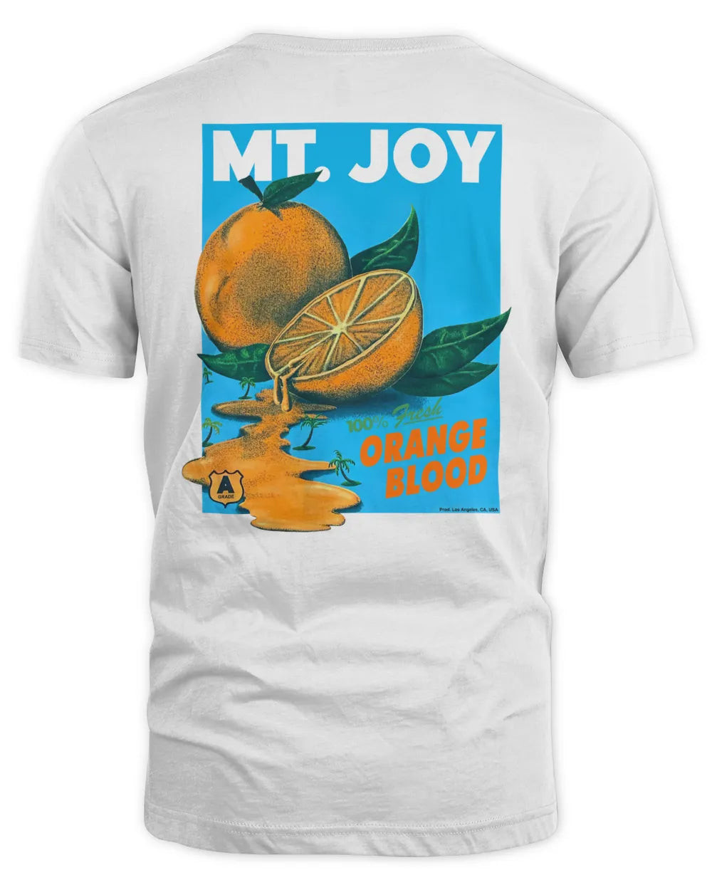 Mt Joy Merch Orange Blood White Hoodie