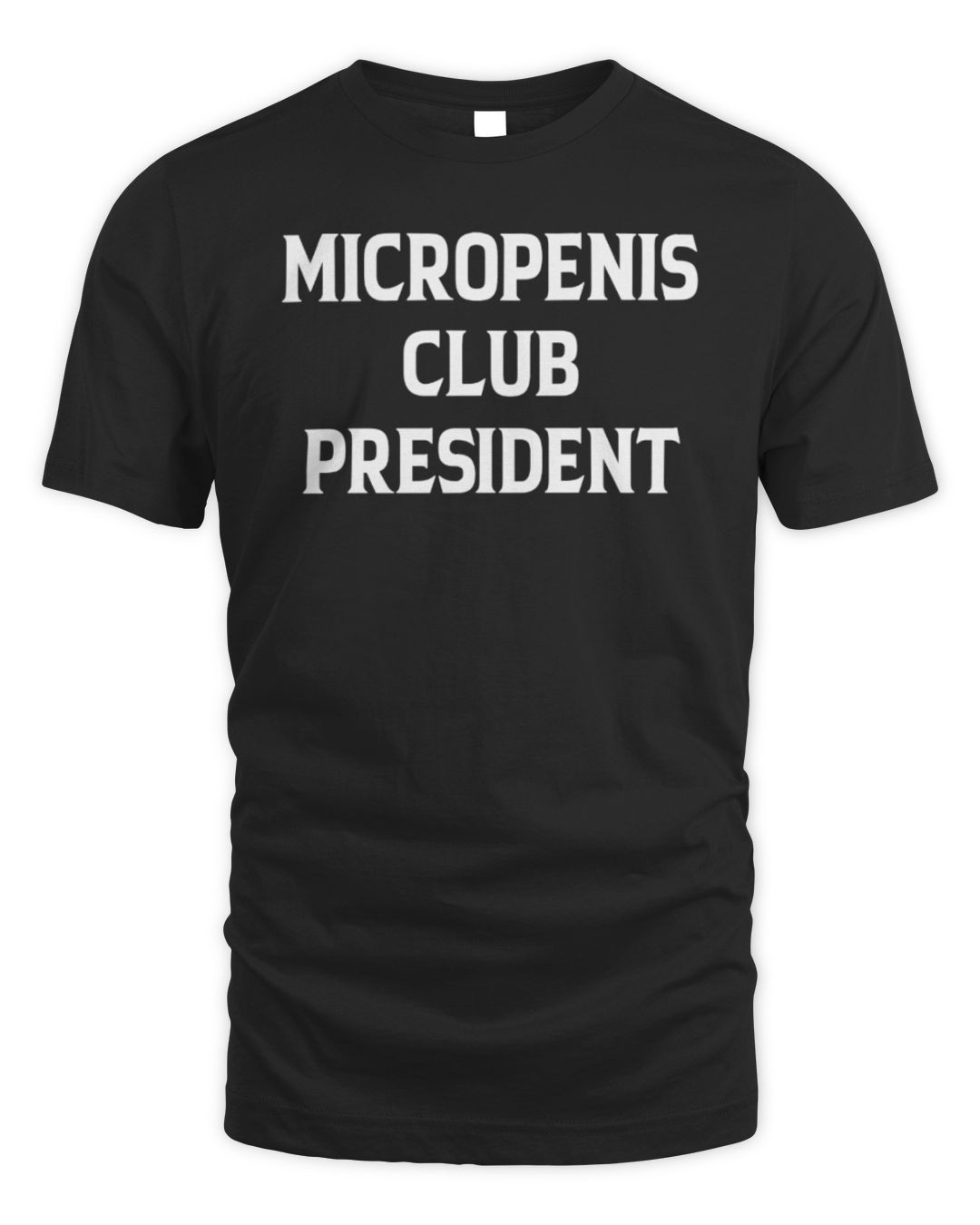 Micropenis Club President Hoodie Sweatshirt