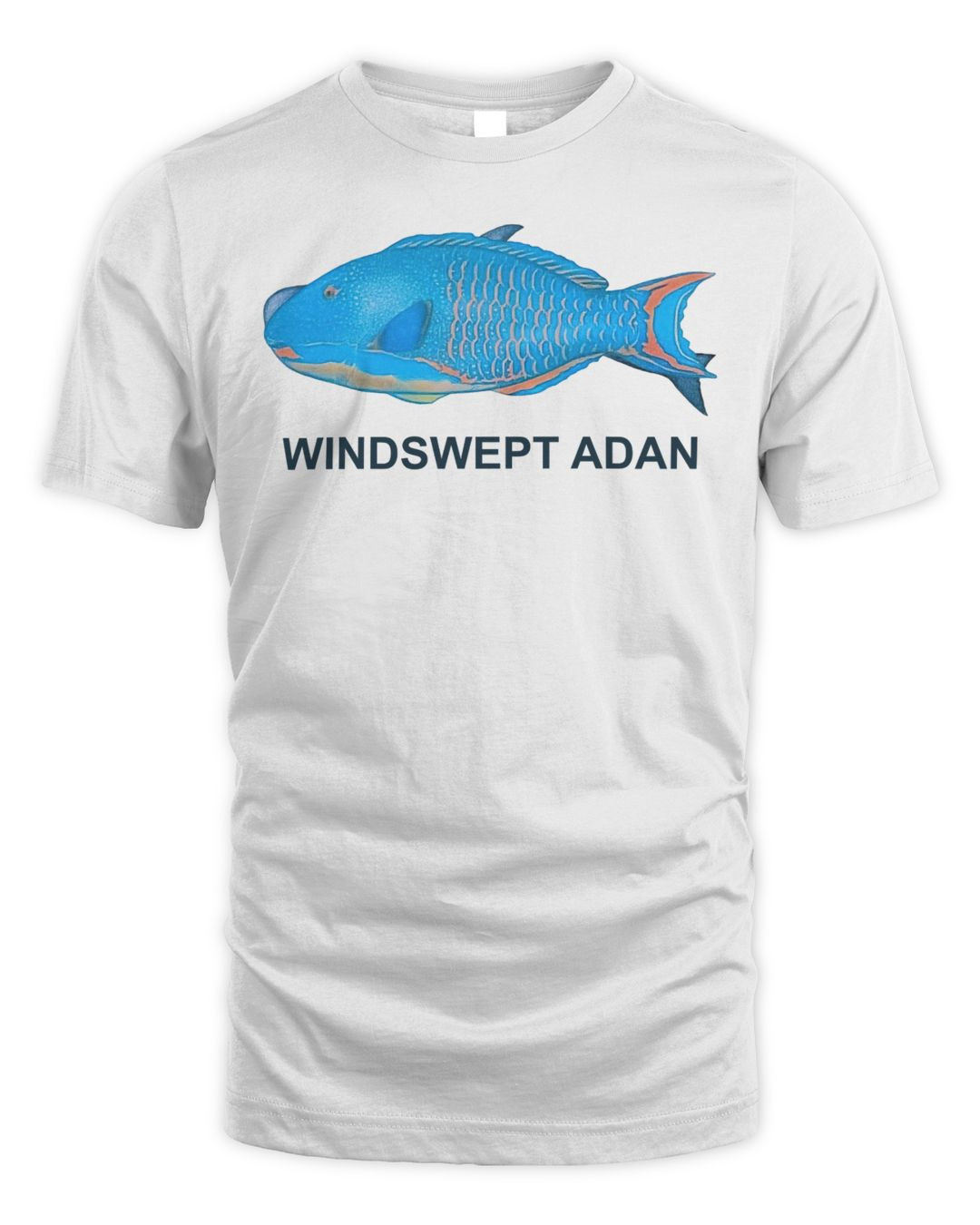 Ichiko Aoba Merch Parrot Fish Windswept Adan Shirt