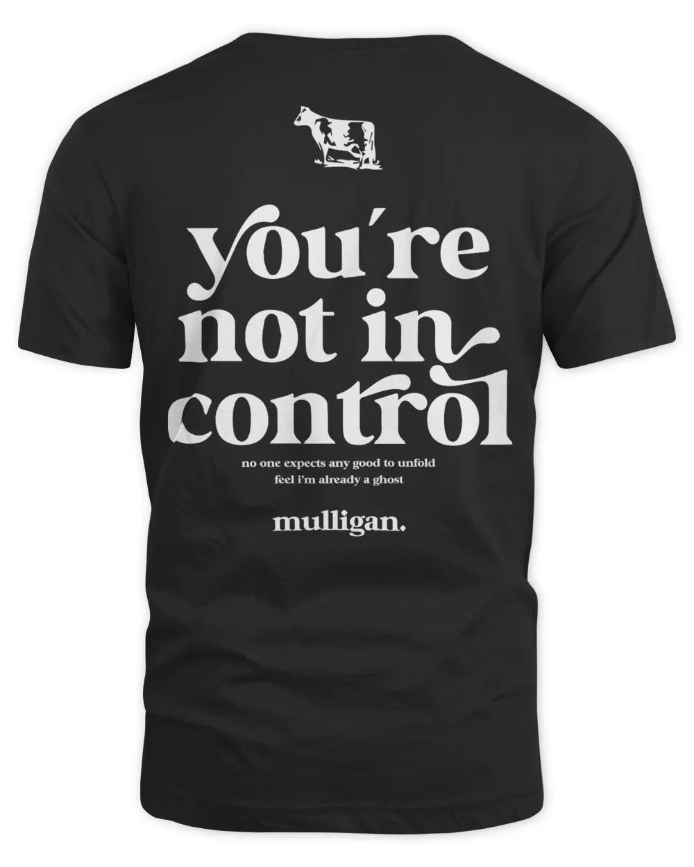 Hot Mulligan Merch You're Not In Control Shirt