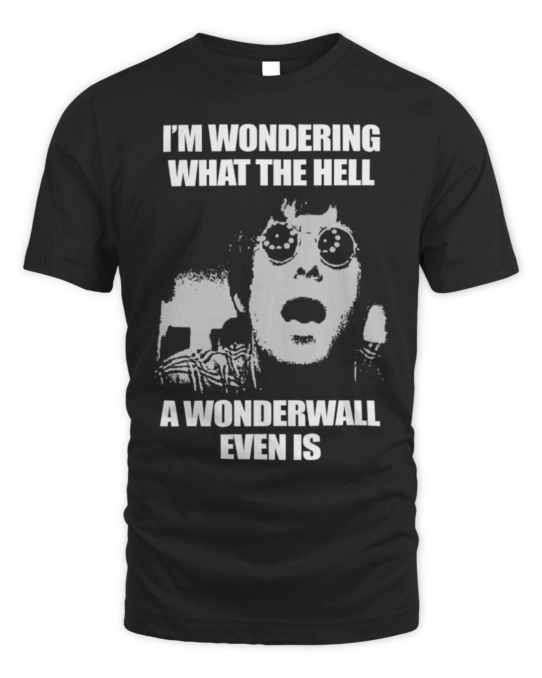 I'm Wondering What The Hell A Wonderwall Even Is Shirt