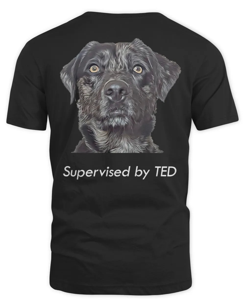 Mr Hewes Merch Supervised By Ted Shirt